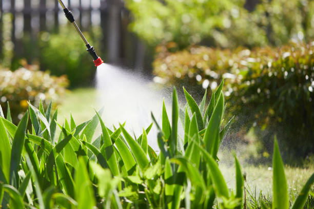24/7 Emergency Mosquito Control experts in Jonesboro, GA
