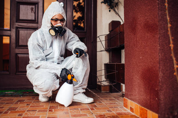 Reliable Mosquito Control contractor in Jonesboro, GA by Show Me Pest Control